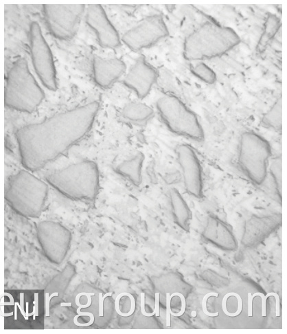 butoi cu dublu șurub twin screw barrel